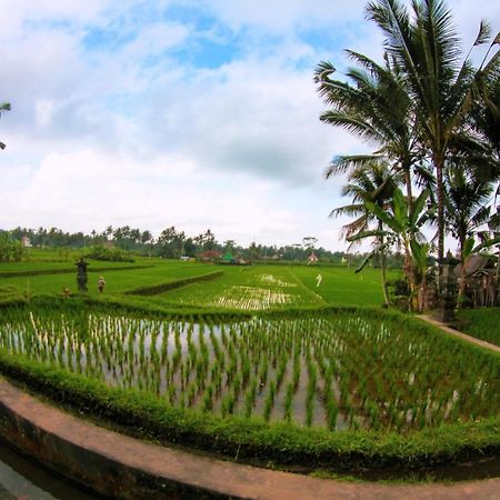 Vinarya Villa Ubud Kültér fotó