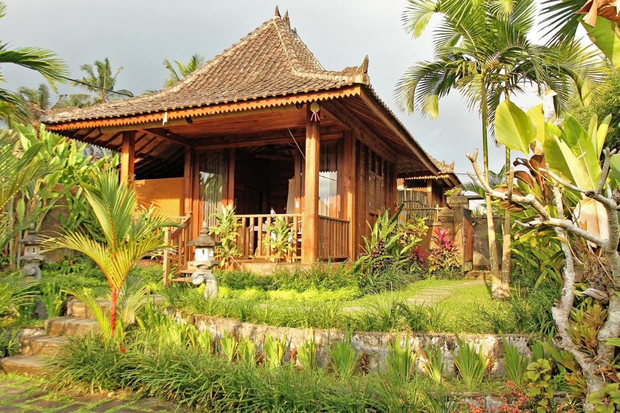 Vinarya Villa Ubud Kültér fotó
